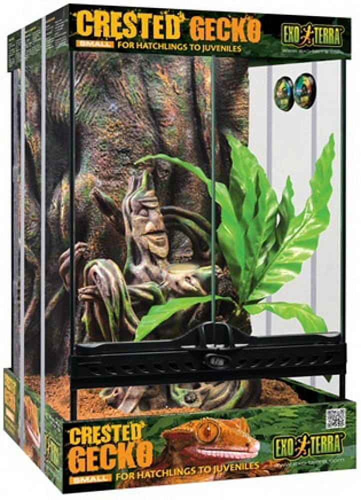Exo terra crested gecko kit small discount