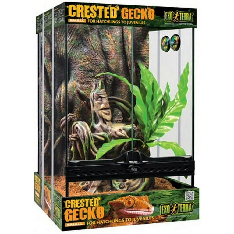 Exo Terra Crested Gecko Kit, Small - Walmart.com