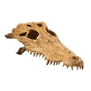 Exo Terra Crocodile Skull Terrarium Decoration