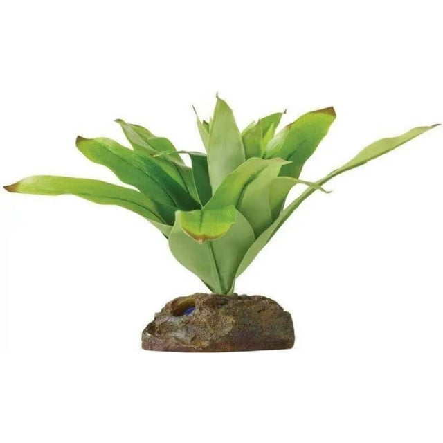 Exo Terra Dart Frog Bromelia Smart Terrarium Plant - Walmart.com