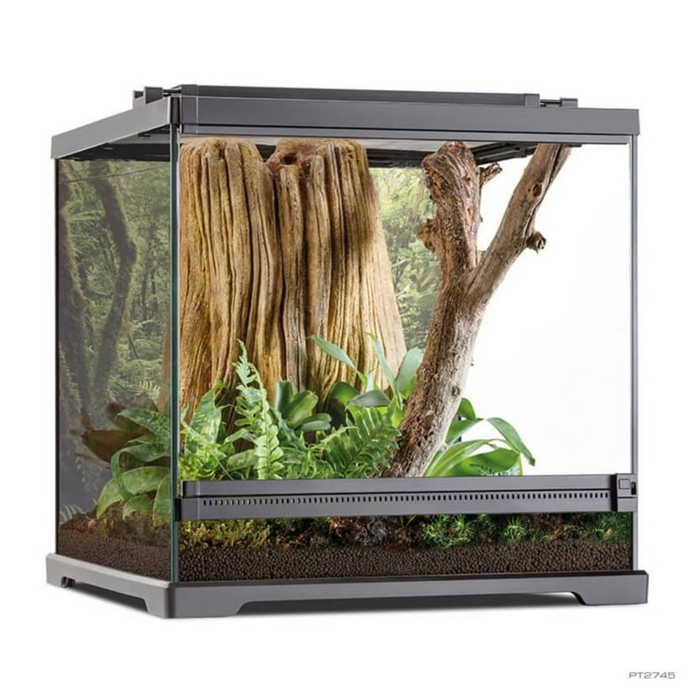 Exo Terra Dart Frog Terrarium 18x18x18