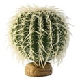thumbnail image 1 of Exo-Terra Desert Barrel Cactus Terrarium Plant, 1 of 2