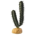thumbnail image 1 of Exo-Terra Desert Finger Cactus Terrarium Plant, 1 of 2
