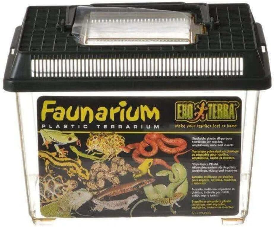 Plastic reptile terrarium 2025