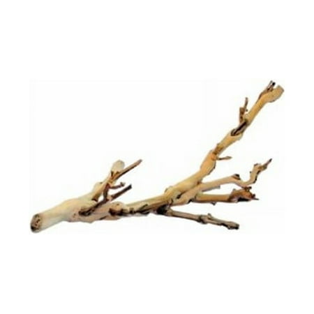 Exo Terra Forest Branch, Small