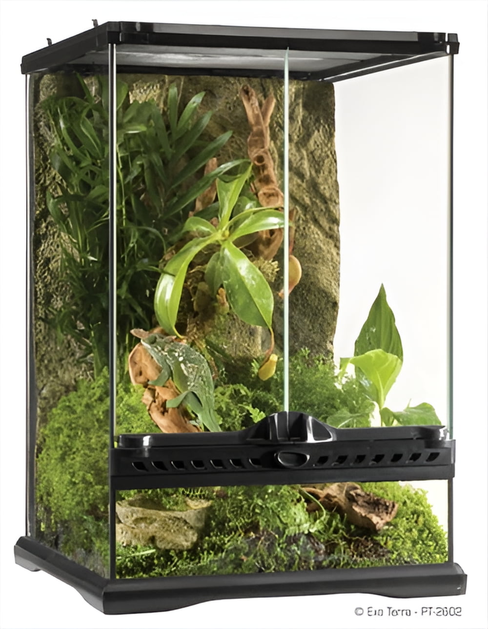 12" x 12" x 18" Glass Terrarium with Foam Background