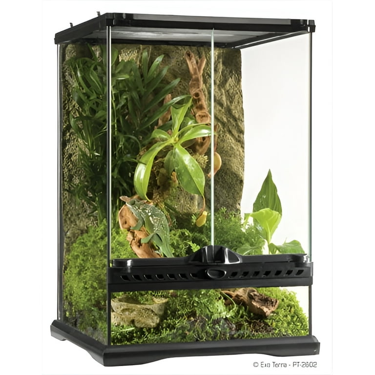 Exo Terra Reptile Supplies Glass Terrarium 12x12x18 with