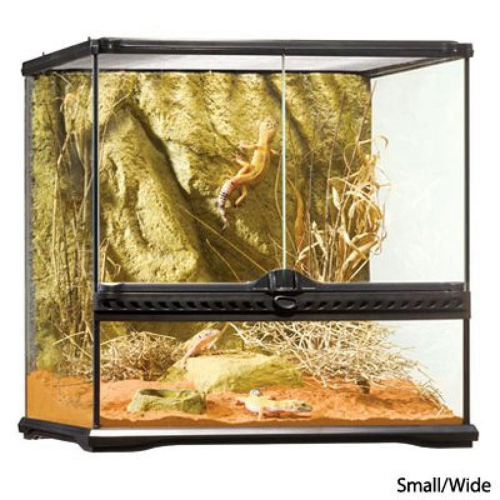 Small Wide Glass Terrarium with Natural Rock Background