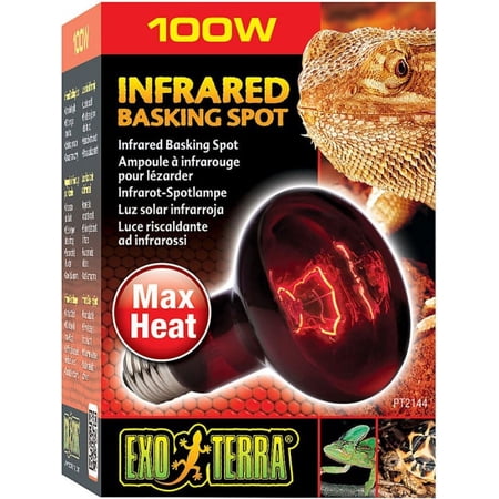 Exo-Terra Heat Glo Infrared Heat Lamp [Reptile, Lighting Incandescent] 100 Watts