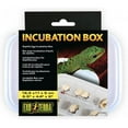thumbnail image 1 of Exo Terra Incubation Box, 1 of 1
