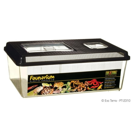Exo Terra Large Flat Home Faunarium