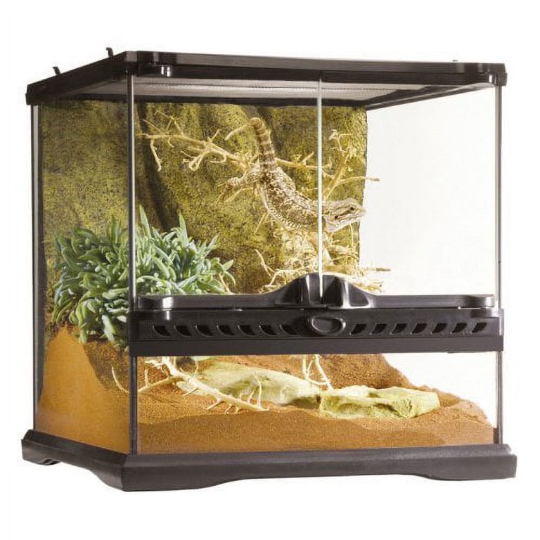 Exo Terra Natural Advanced Habitat Terrarium, 18in - Walmart.com