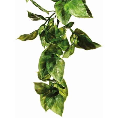 Exo Terra Plastic Terrarium Plant, Large, Amapallo