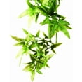 thumbnail image 1 of Exo Terra Plastic Terrarium Plant, Small, Croton, 1 of 2
