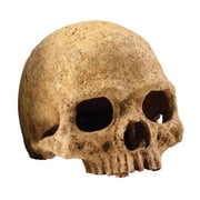 Exo Terra Primate Skull Reptile Terrarium & Aquarium Decoration