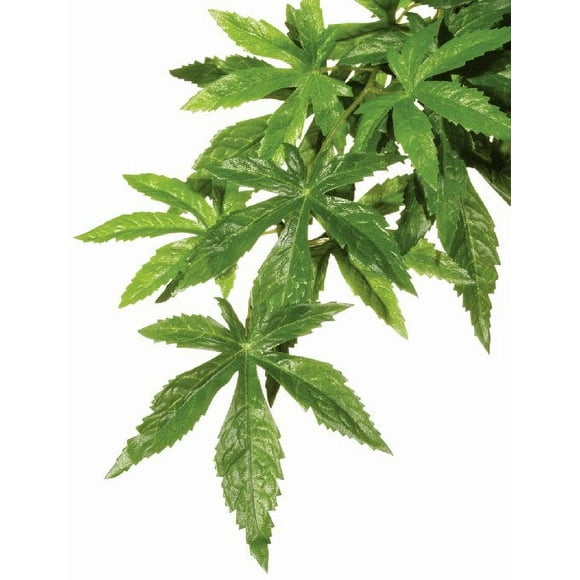Exo Terra Silk Terrarium Plant, Large, Abutilon