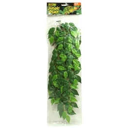 Zoo Med Natural Bush Australian - Plante - L