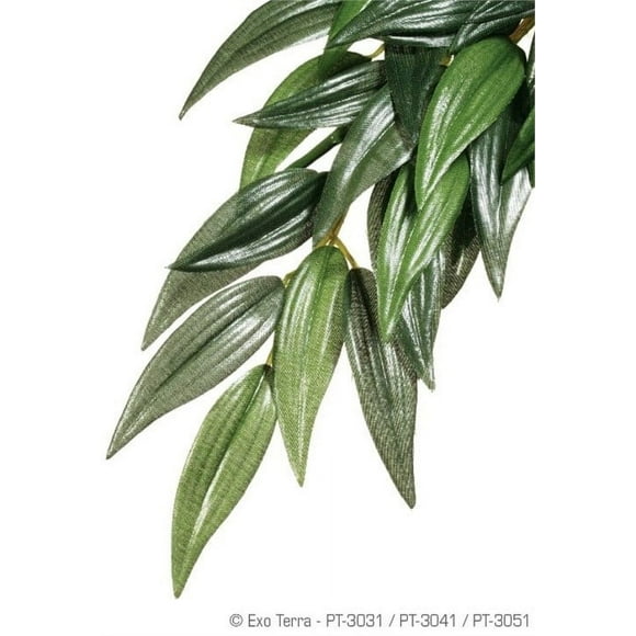 Exo Terra Silk Terrarium Plant, Medium, Ruscus
