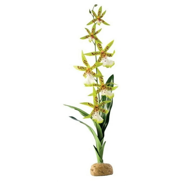 Exo Terra Spider White Green Terrarium Plant