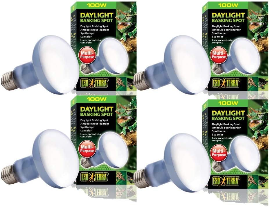 Exo Terra Sun-Glo Basking Spot Lamp, 100-Watt/120-Volt (4 Pack)