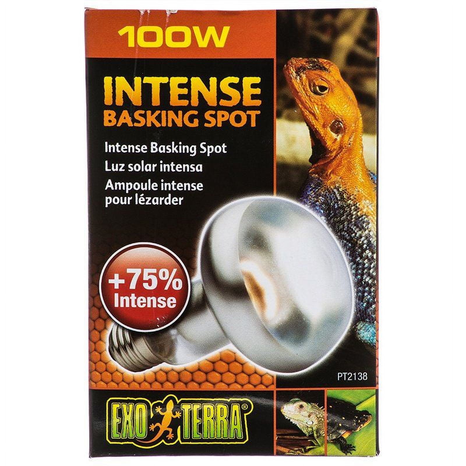 ExoTerra Sun Glo Tight Beam Basking Spot Lamps 100 Watts Pack of 4