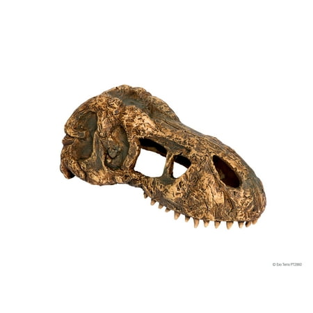 Exo Terra T-Rex Skull (Small)