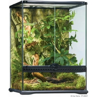 Exo terra glass terrarium 36x18x18 hotsell