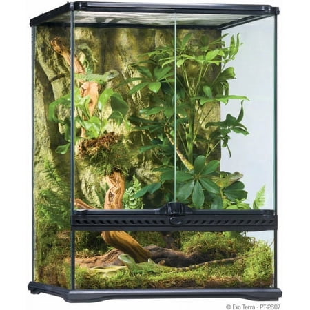 Exo Terra Tall Glass Terrarium, Small