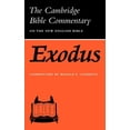 thumbnail image 1 of Exodus, (Paperback), 1 of 1