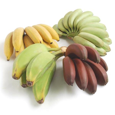 Exotic Banana Sampler
