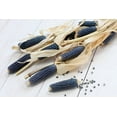 thumbnail image 1 of Exotic Blue Corn - 25 Seeds to Plant - Blue Corn is The Most Rare - Grow Blue Popcorn, 1 of 2