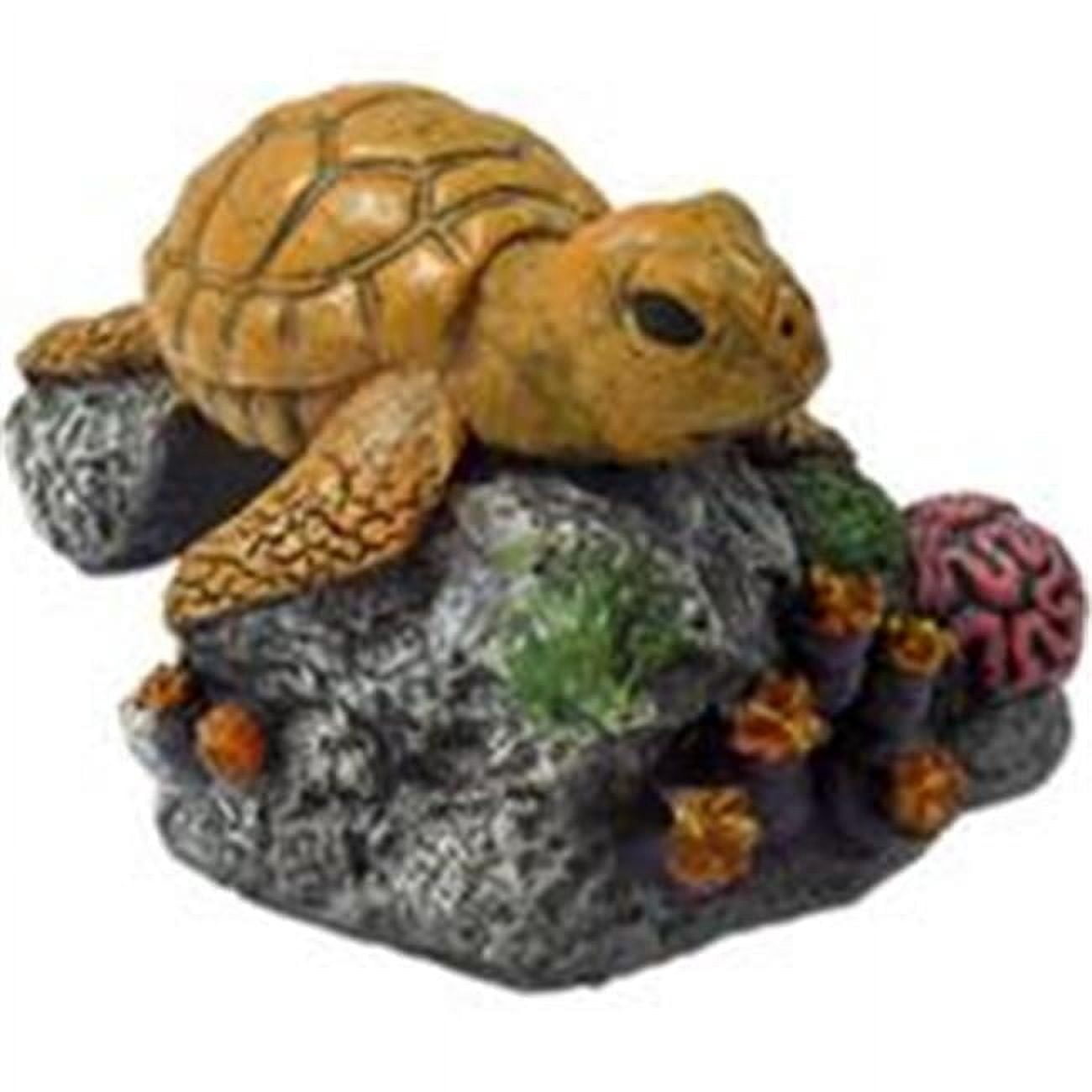 Exotic Environments Sea Turtle