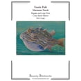 thumbnail image 1 of Exotic Fish Cross Stitch Pattern - Marianne North - Large Size Edition: Regular and Large Print Cross Stitch Pattern, (Paperback), 1 of 1