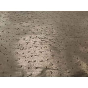 Exotic Hides -Sheep Skin 7 to 10 Sf - Various Designs amp; Colors (Ostrich)