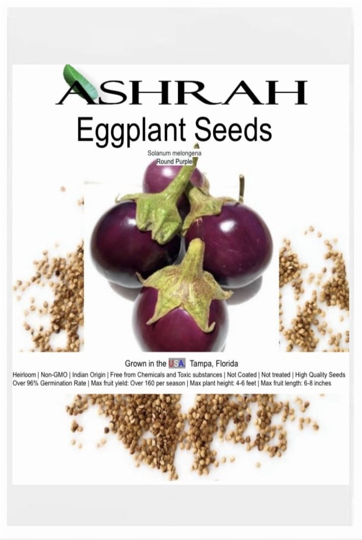 grass seed at lowes Kentucky 31 Tall Fescue Grass Seed - 50 Lbs