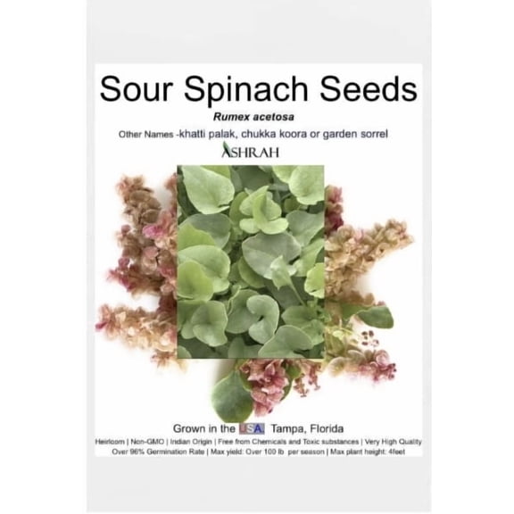 Authentic Indian Spinach / Sour Spinach Plant Seeds (Chukkakura, Chukkaku) 500mg. Heirloom Non-GMO Vegetable Seeds, High Yield