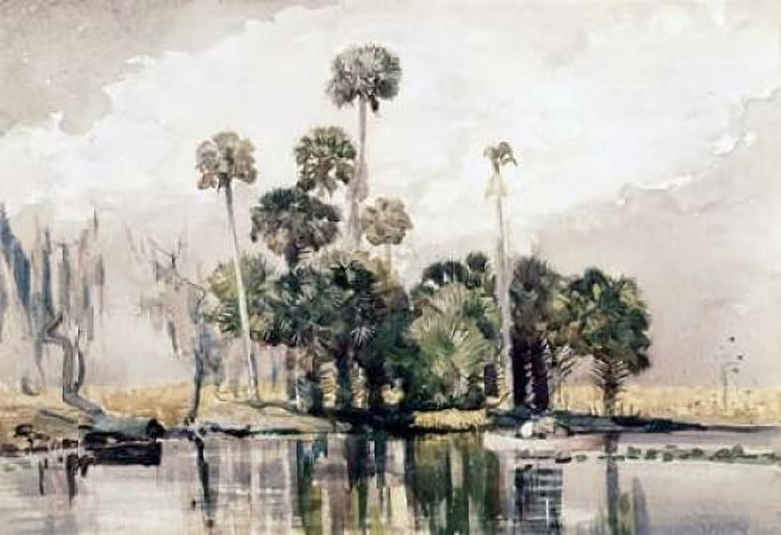 Exotic Island Canvas Art - Winslow Homer (20 x 28)