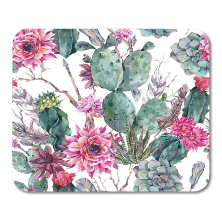 Exotic Natural Vintage Watercolor in Boho Cactus Succulent Flowers Twigs Feathers and Arrows Botanical Mousepad Mouse Pad Mouse Mat 9x10 inch