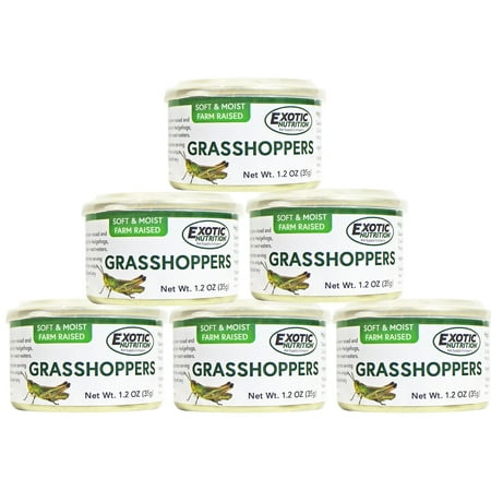 Exotic Nutrition Canned Grasshoppers 35 g. (6 Pack)