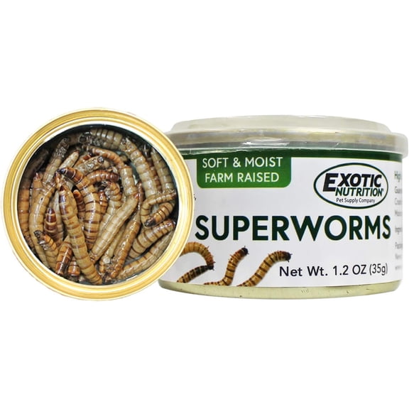 Canned Superworms