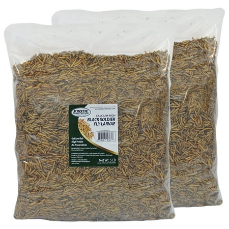 Exotic Nutrition Dried Black Soldier Fly Larvae 10 lb.