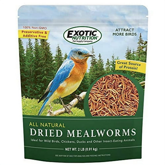 Exotic Nutrition Dried Mealworms 5 lb.