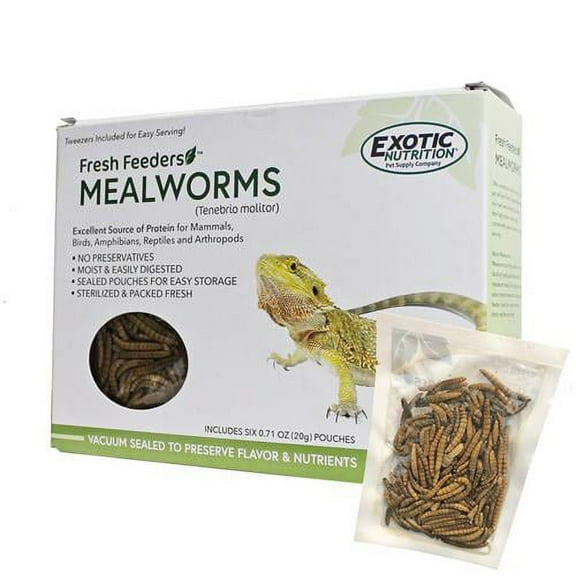 Exotic Nutrition Fresh Feeders Mealworms
