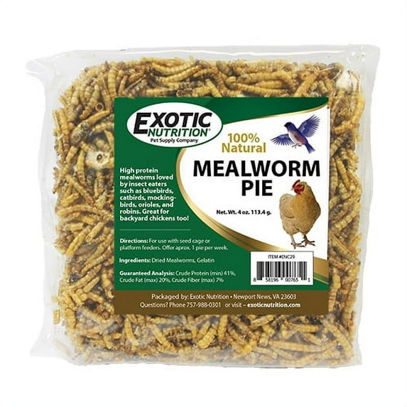 Exotic Nutrition Mealworm Pie 5-Cake Multi-Bird Feeder with Natural Gelatin Binder, 5 oz Capacity