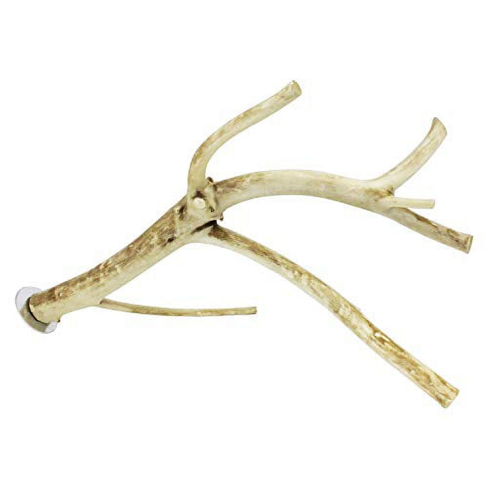 Medium Natural Wood Multi-Branch Cage Perch