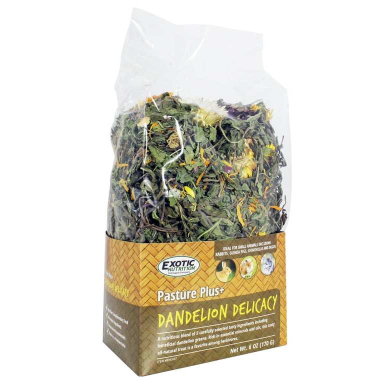 Dandelion greens for guinea cheap pigs
