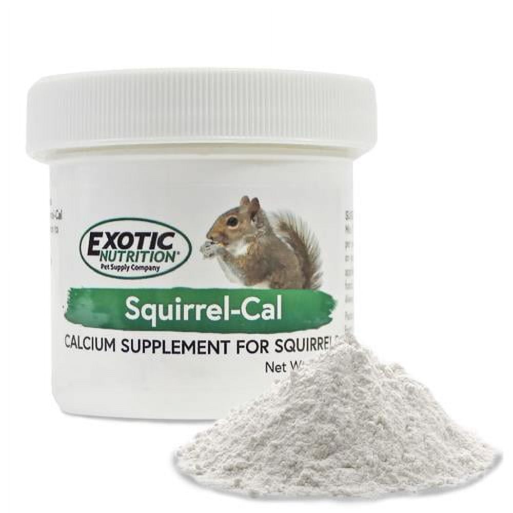 Exotic Nutrition SquirrelCal Calcium Supplement, 3.5 oz.