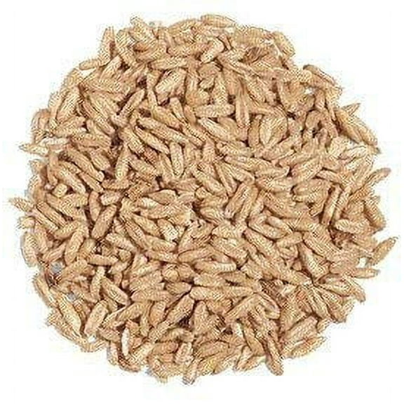 Exotic Nutrition Whole Oats 4 lb. - Supplemental Food for Degus and Chinchillas