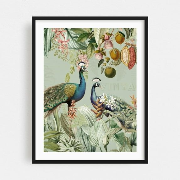 Exotic Peacocks in Paradise 1 - Illustration Botanical Vintage Floral Tropical Wildlife Black Framed Wall Art Print 8 x 10 inches
