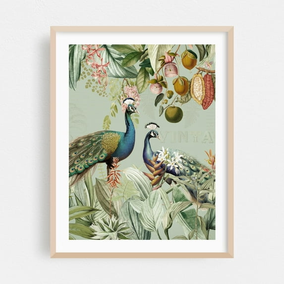 Exotic Peacocks in Paradise 1 - Illustration Botanical Vintage Floral Tropical Wildlife Oak Framed Wall Art Print 9 x 12 inches